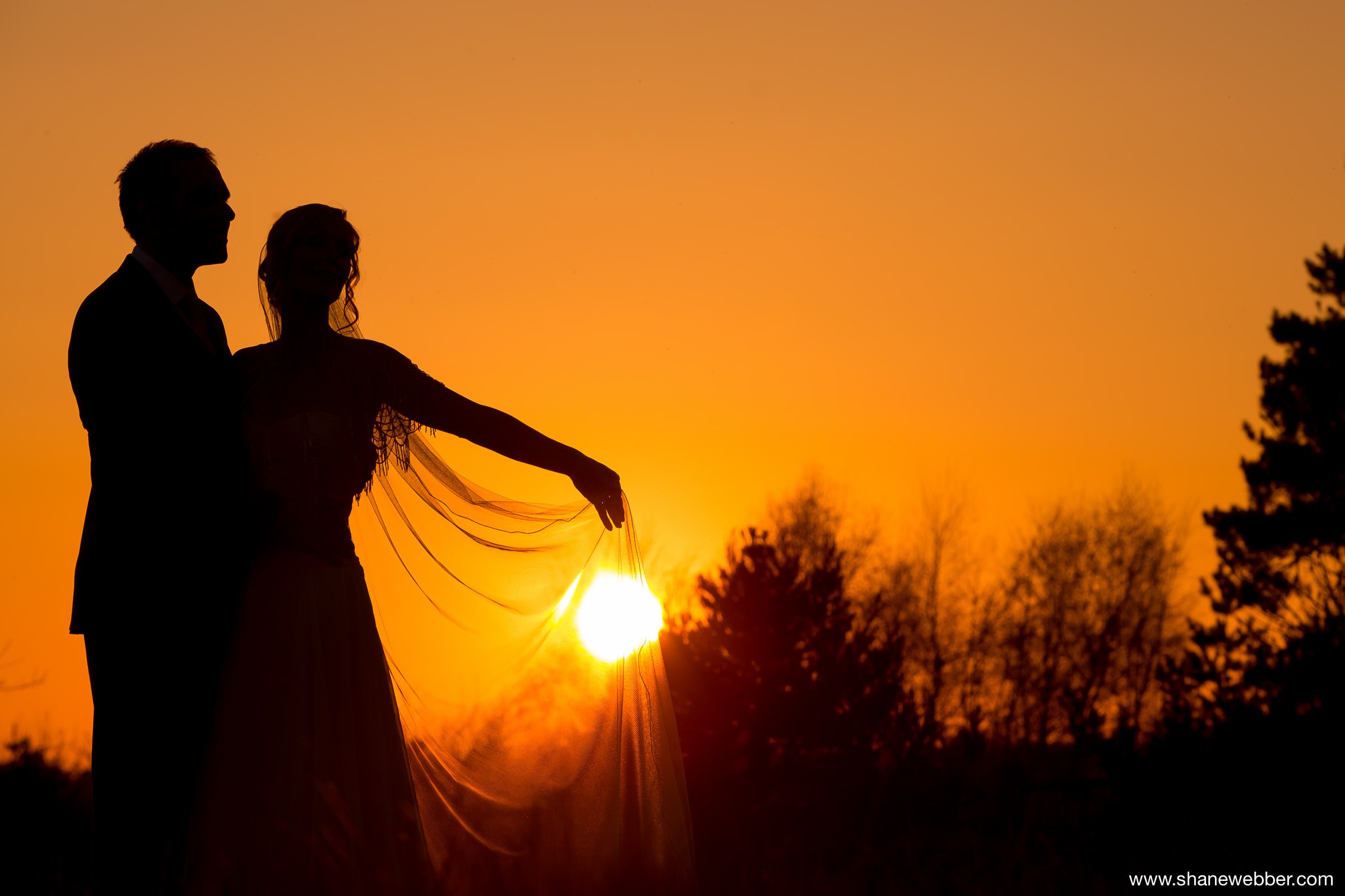 Abbeywood Estate Sunset Wedding Photo