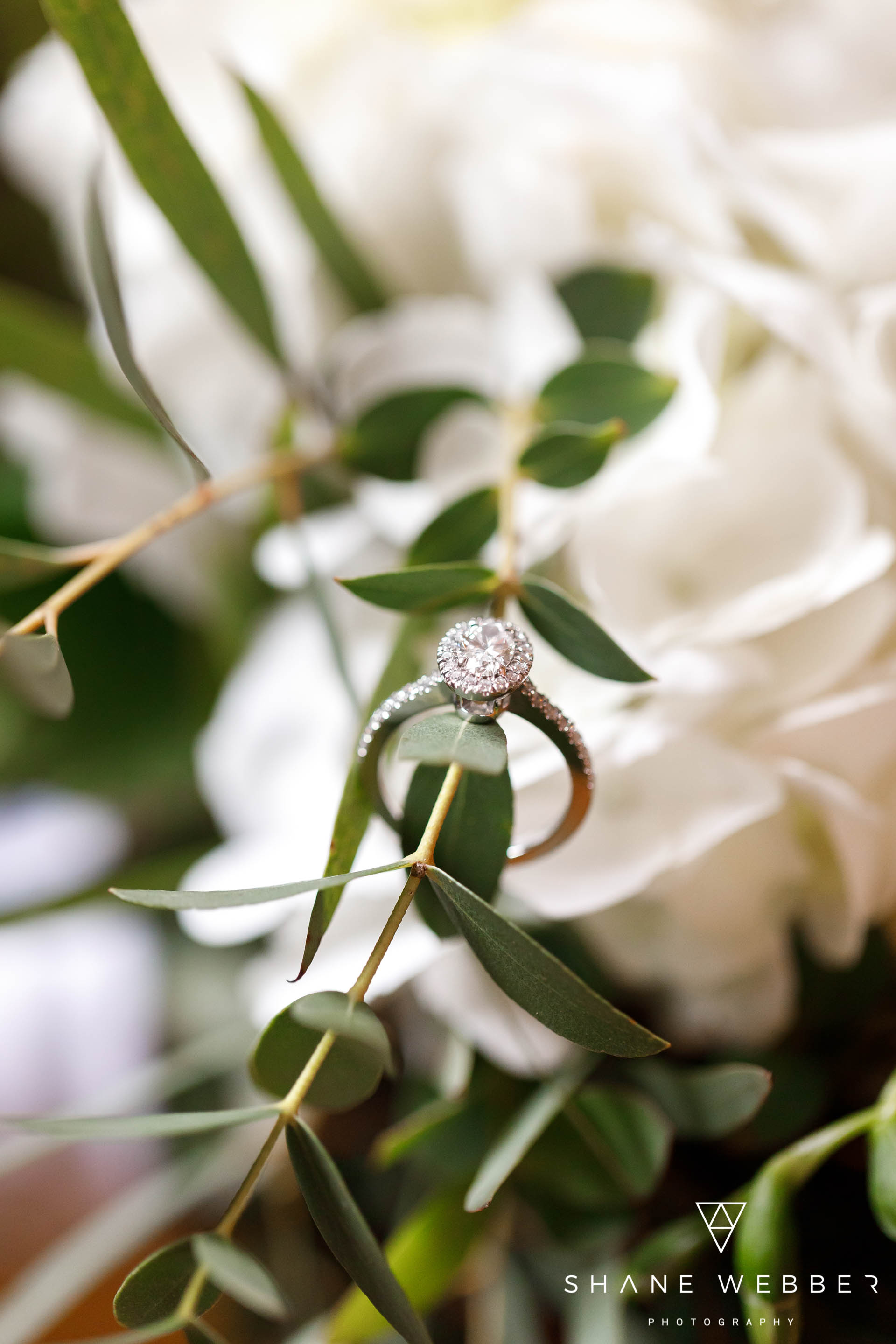 Engagement ring photo