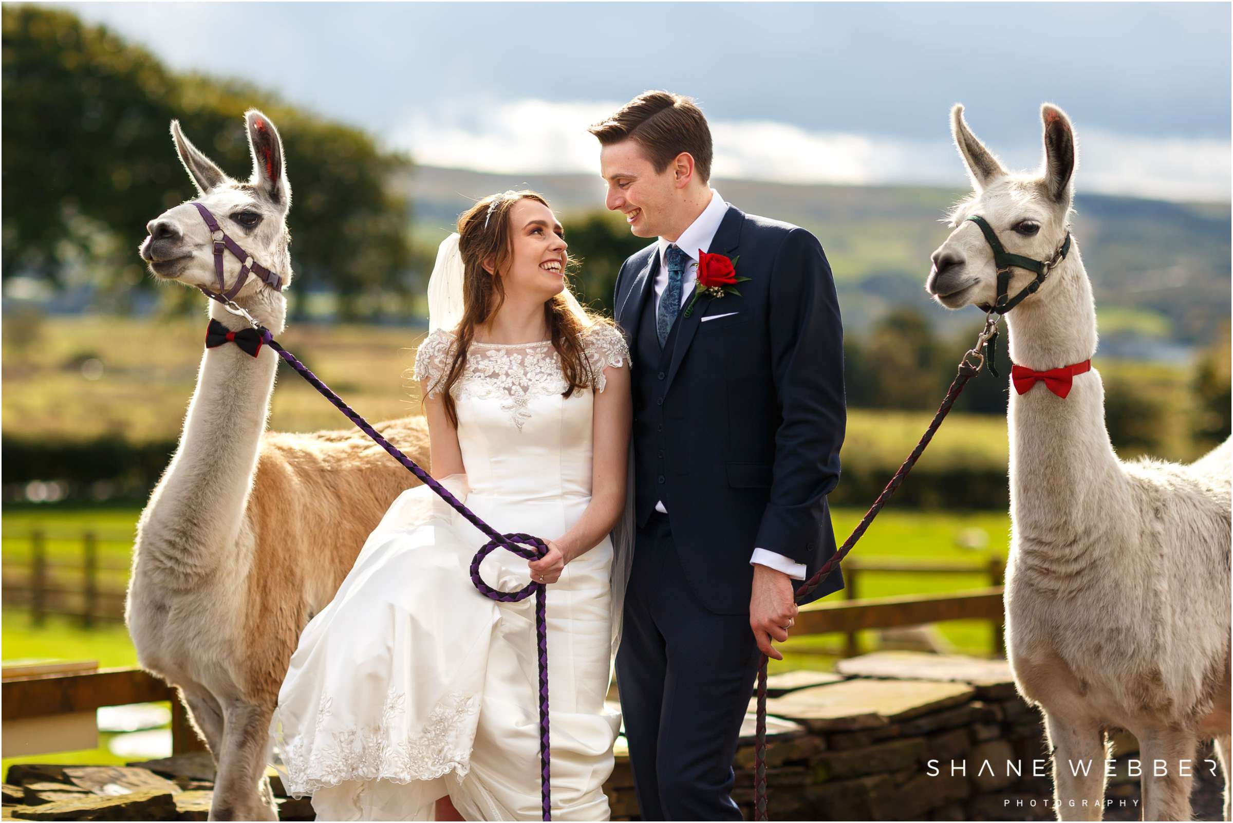 quirky wedding photography 